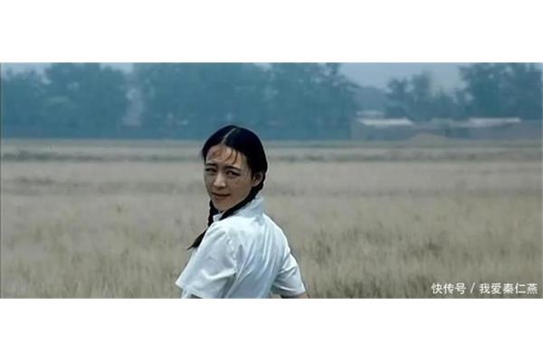 关于孔雀问题——电影《孔雀》的叙事结构分析