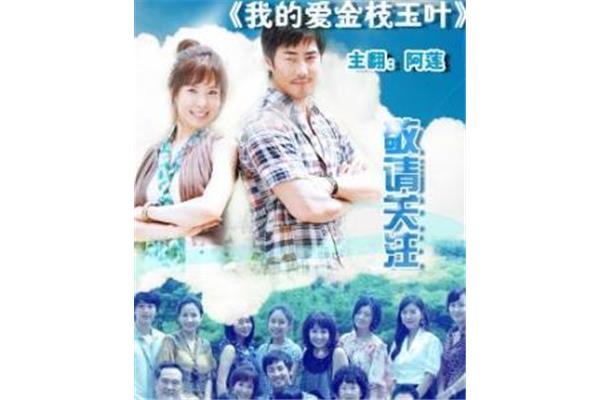 电视剧《我对金枝玉叶的爱》剧情介绍
