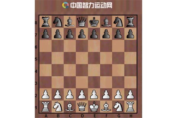 国际象棋大师下载