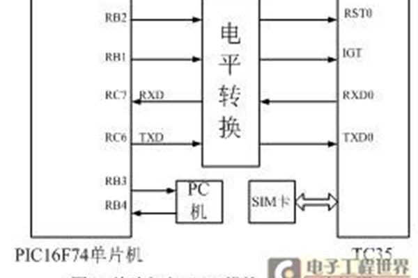 吃了立夏狗