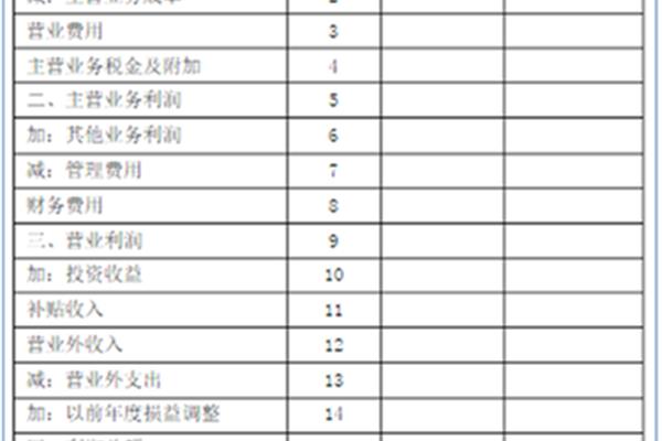 损益表表格