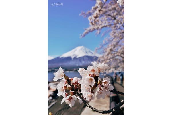 想看山,“看山”